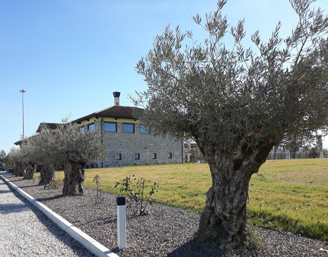 Agriturismo San Gallo Strassoldo Exteriér fotografie